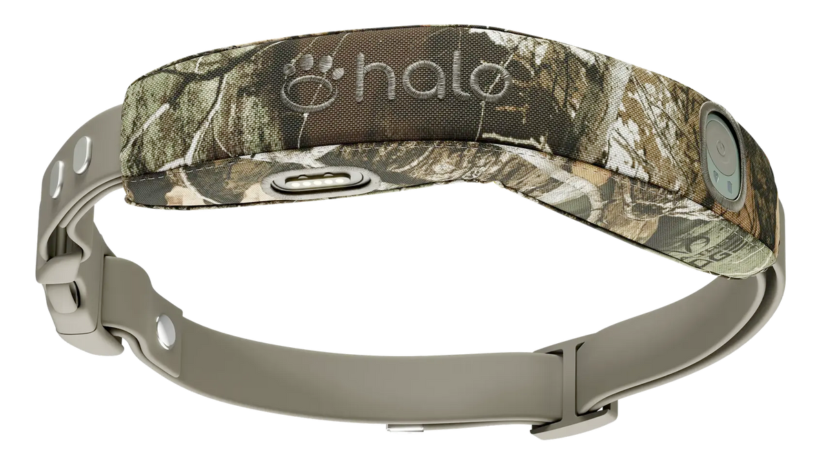 Halo Collar 5 GPS Dog Fence